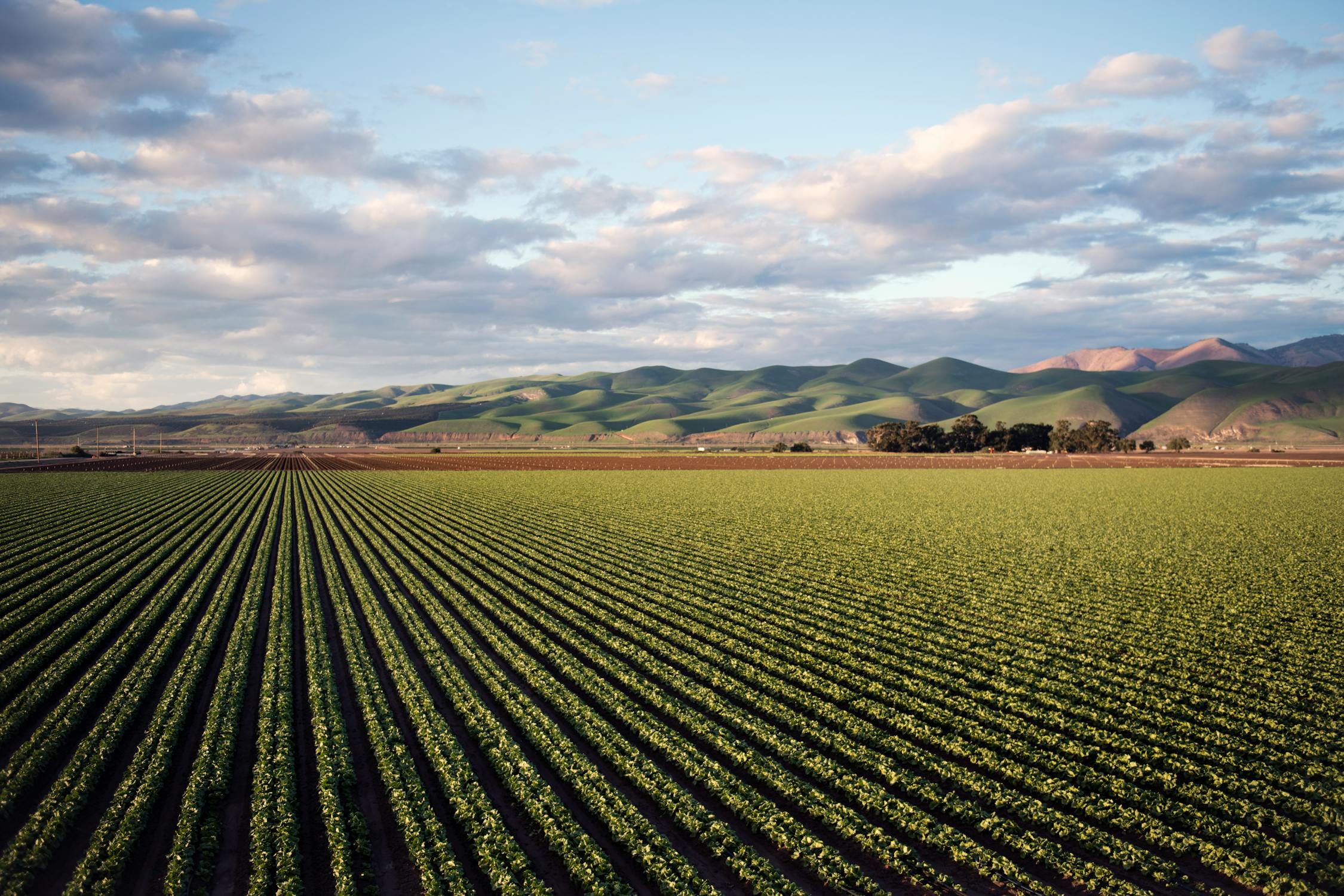 La scuola della Terra”: le nuove esigenze dell’Agrifood nel progetto di FCI